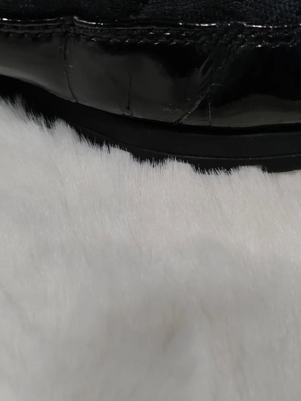 Coach cozy signature
